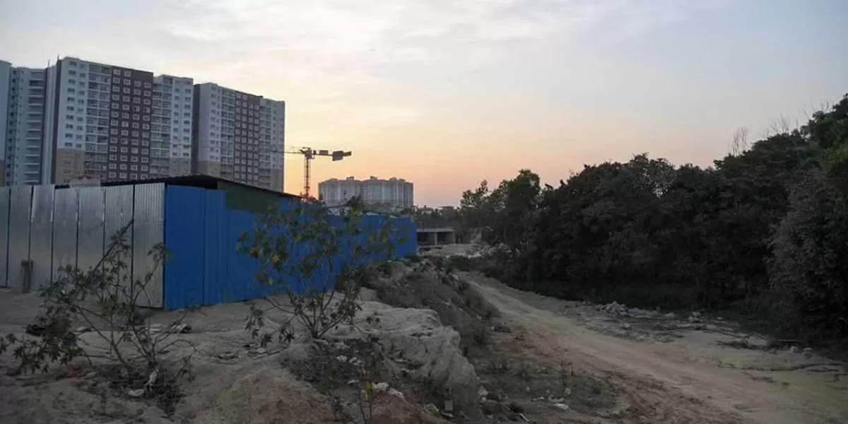 NGT Orders Status Quo in Demolition of Naroa Structure