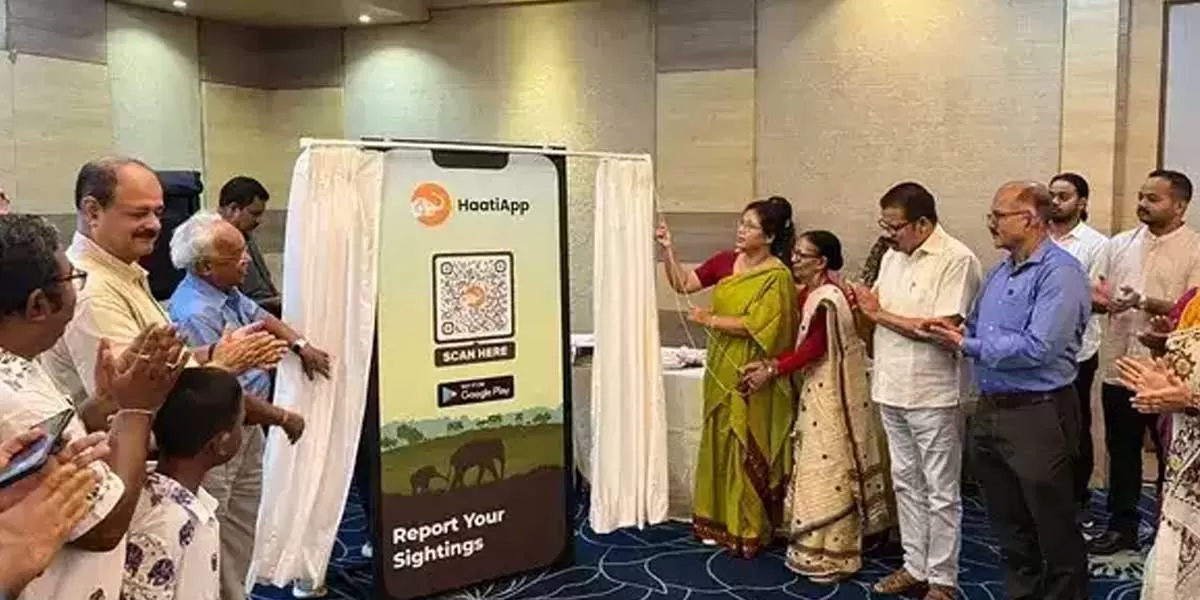 Assam Launches HaatiApp, Solar Manual to Tackle Elephant Conflicts