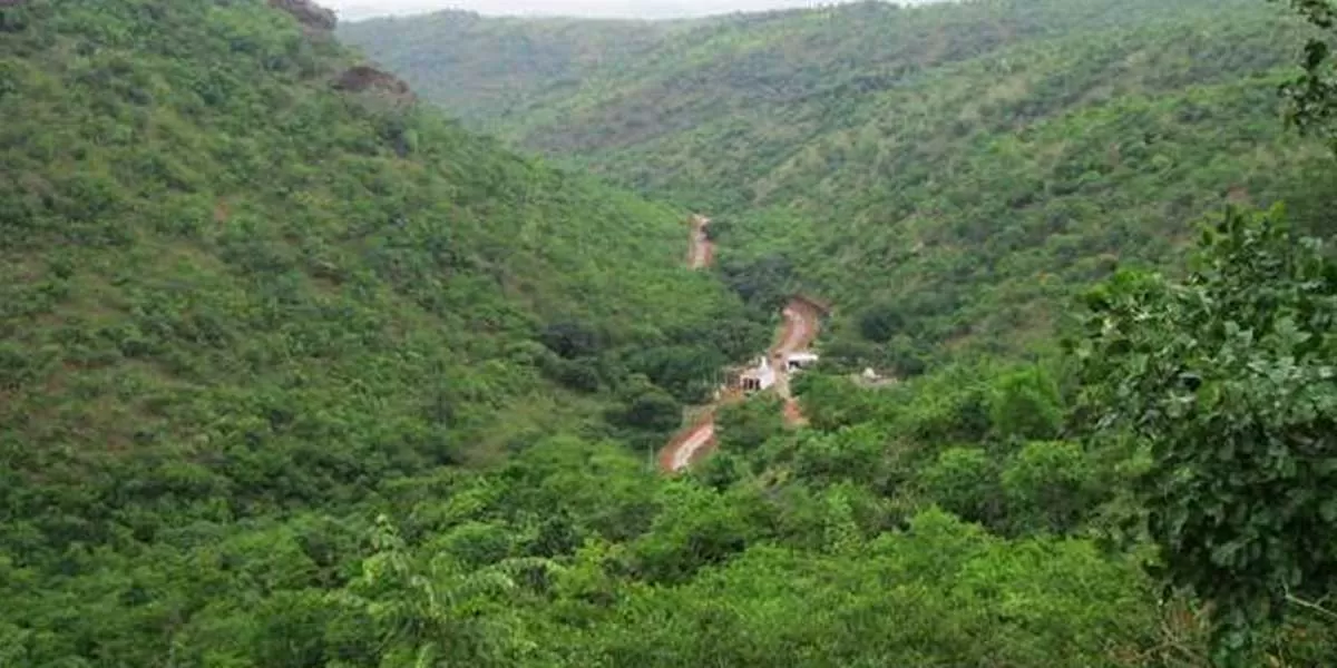 Karnataka considers diverting 23 hectares of forest for JSW project