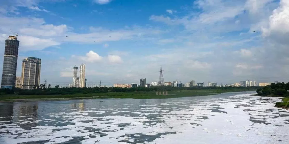 NGT Directs DDA to Deconcretise Projects on Yamuna Floodplain