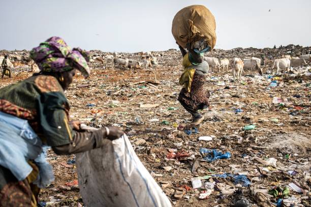 BMC to bring waste picker bodies for garbage segregation