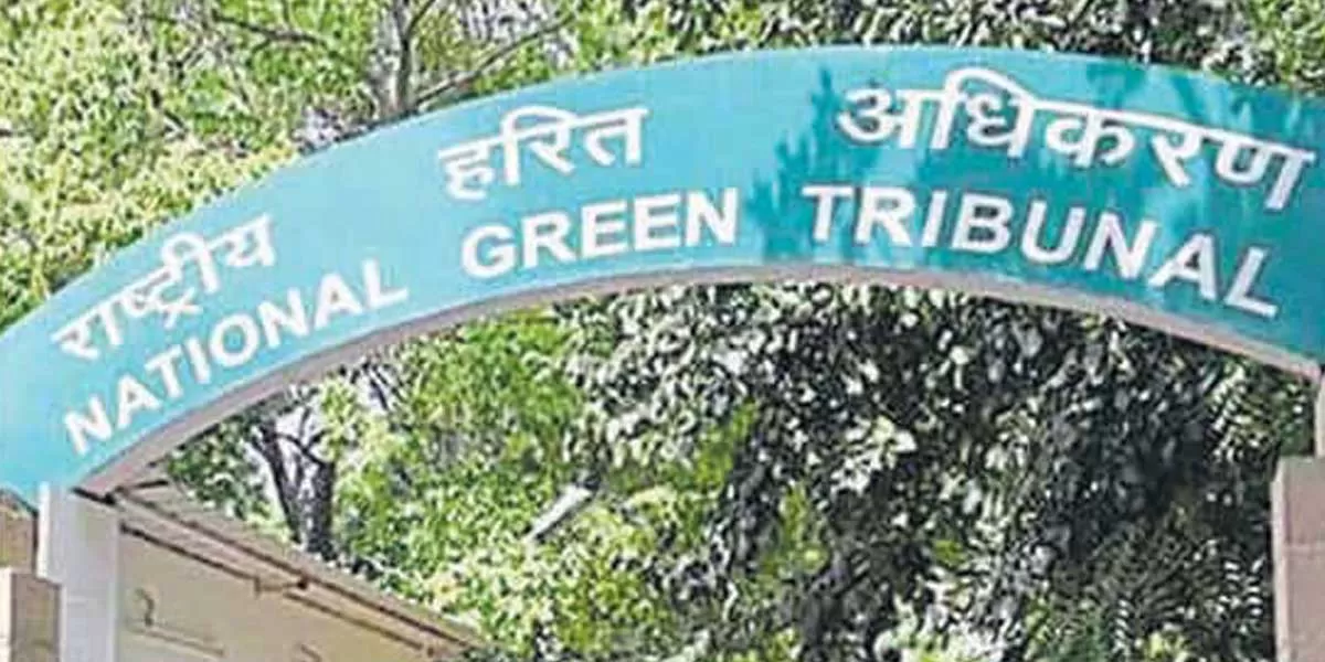 NGT Summons Noida Authority CEO Over Concrete Tile Issue