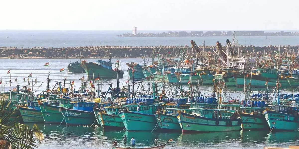 Chennai's Kasimedu Harbour Modernisation Nears Completion