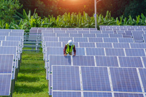 Adani Group, RIL and 17 other companies bid for making solar modules  