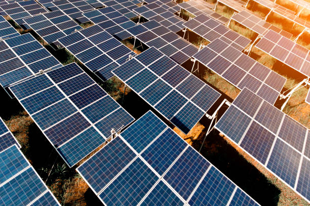 Solar imports, exports rise 1,000% in Q2 of CY21 