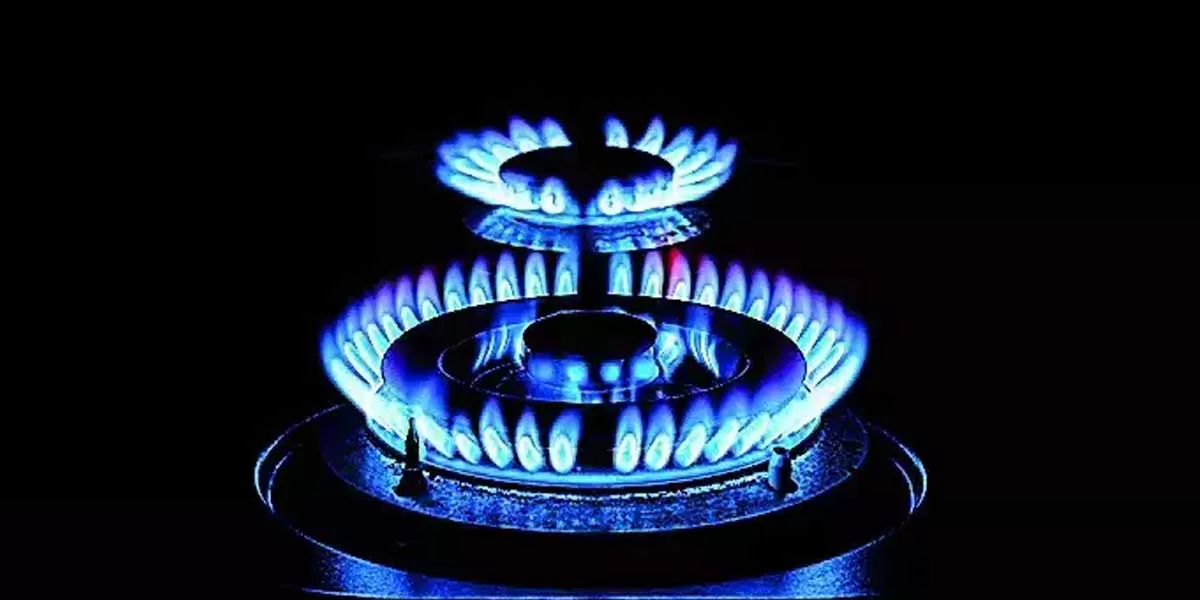 Govt Cuts Domestic Natural Gas Prices to $7.29 Per MmBtu for Dec