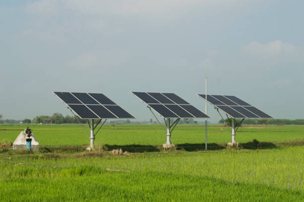 India launches anti-dumping probe for solar cells from three countries