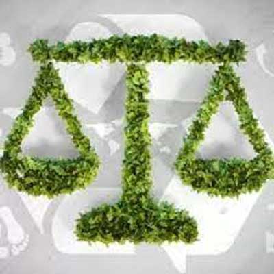 Chennai fines 13 buildings Rs 6.3 crore for Green Law violations