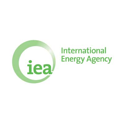 IEA: Net-Zero Goal Survives, but Obstacles Persist