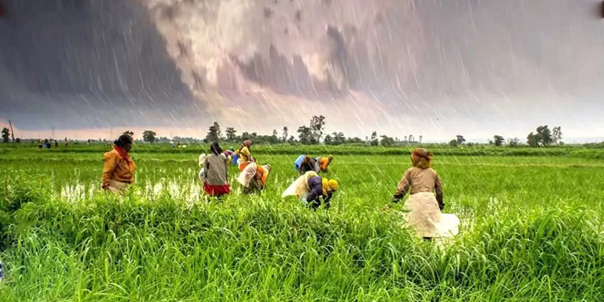 India Leads Global South Climate Solutions