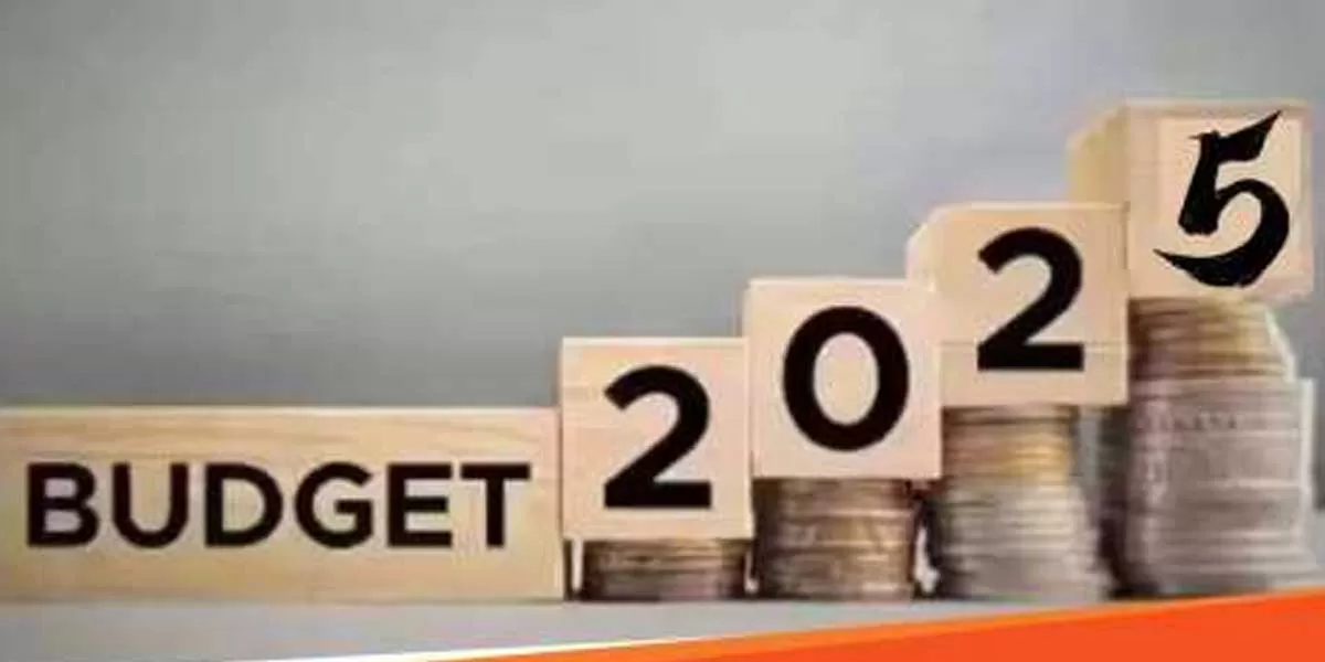 Rajasthan Allocated Rs 99.6 Mn In Union Budget 2025