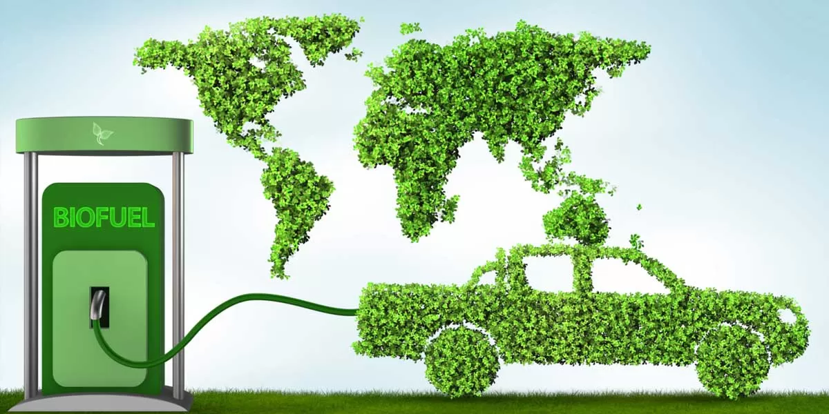 India Inc. Urged for Biofuel Production