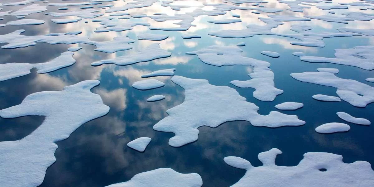 IGSD and NCAER partner to assess effects of Arctic ice melt on India