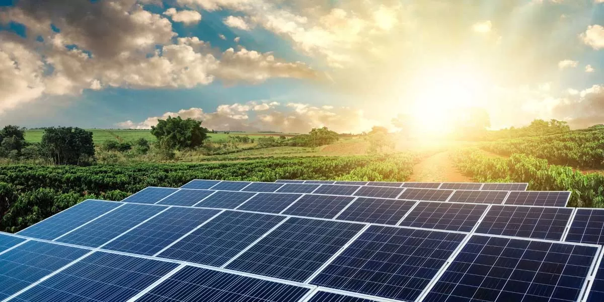 Ratnagiri Zilla Parishad Tenders 1 MW Solar Project in Maharashtra