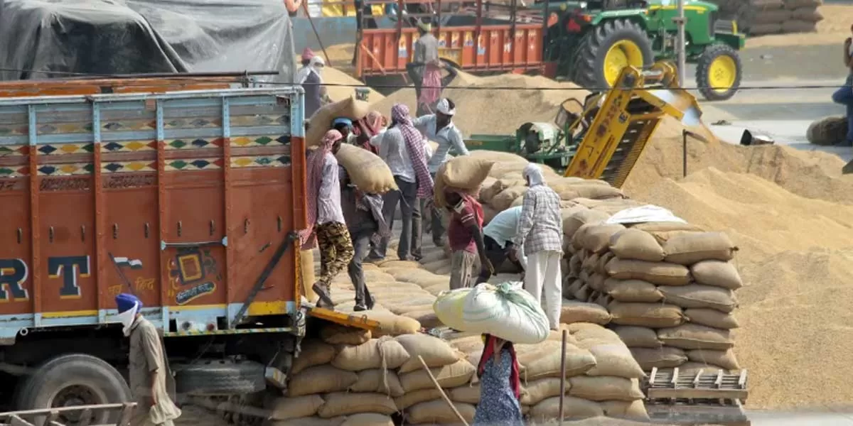 Odisha mandates CCTV in paddy transport