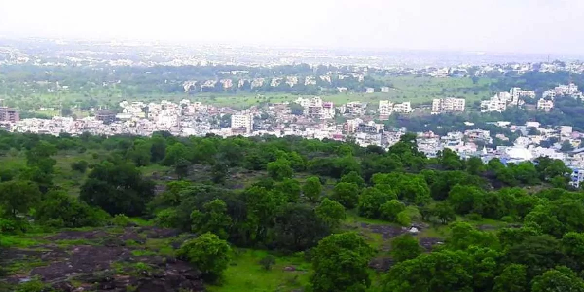 Bhopal loses greenery to urbanisation