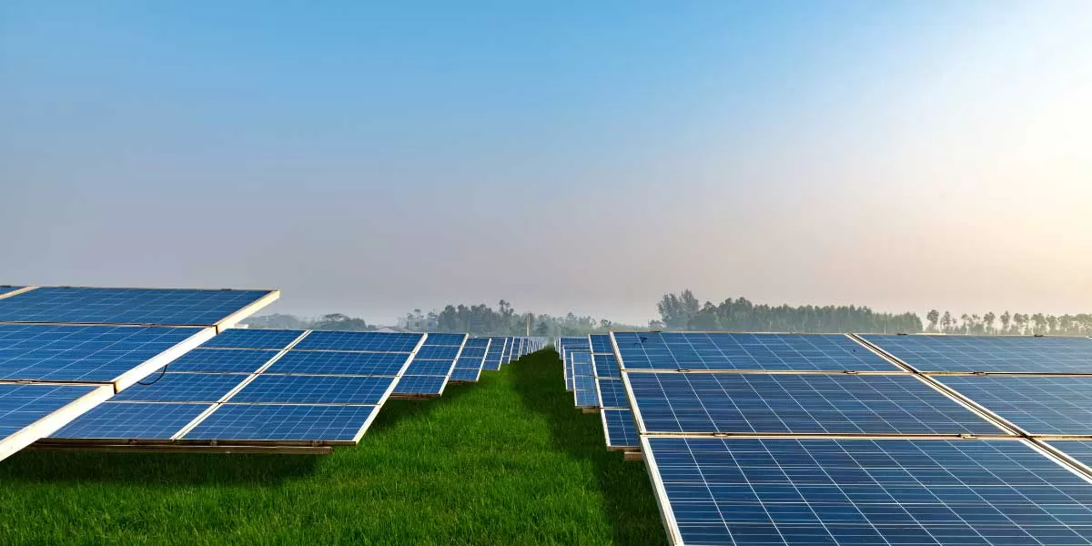 Enfinity Global Secures 2 GW Of Solar And Wind Projects